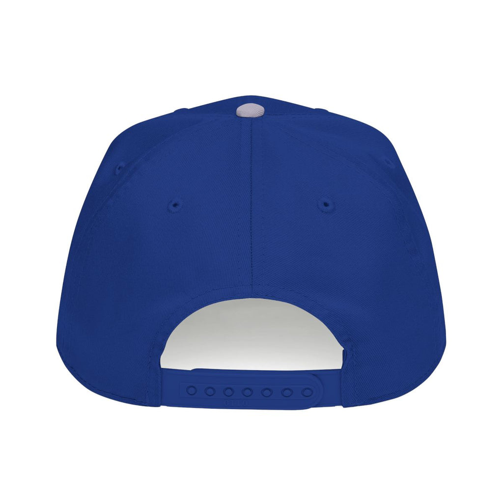 DTC round logo OTTO 31-069 snapback cap - Grey / Royal - Rear snapback view